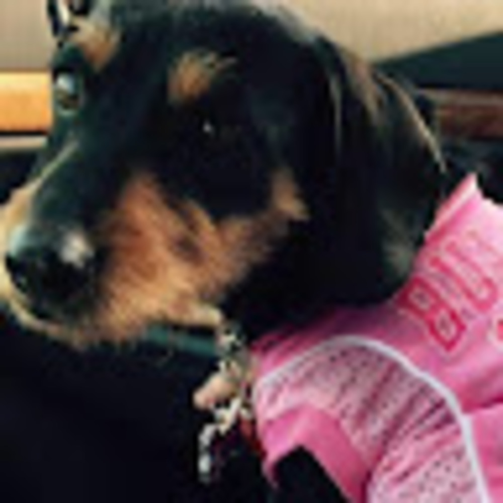 Meet your Posher, Laura